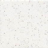 American Olean Unglazed Mosaics Salt & Pepper Porcelain Tile