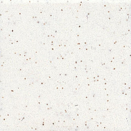 American Olean Unglazed Mosaics Salt & Pepper Porcelain Tile