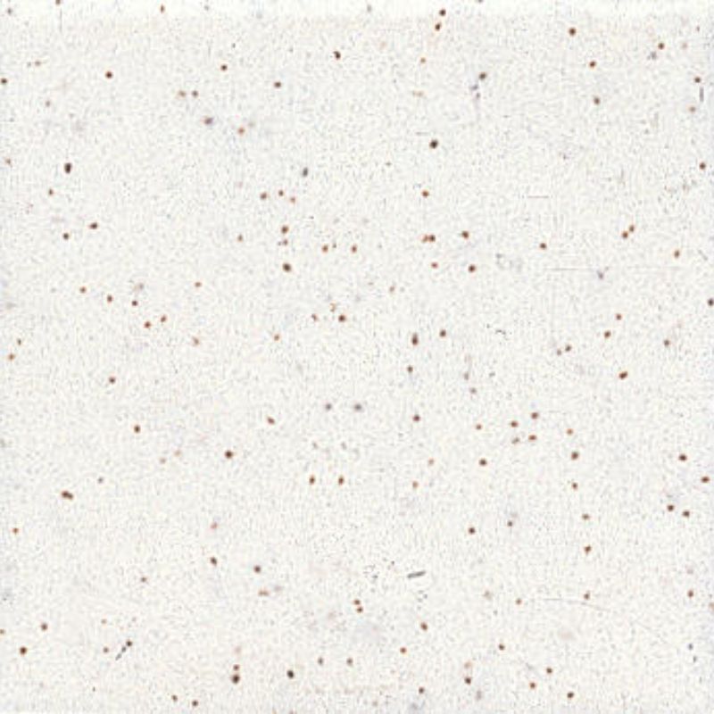 American Olean Unglazed Mosaics Salt & Pepper Porcelain Tile