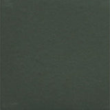 American Olean Unglazed Mosaics Wisdom Tile