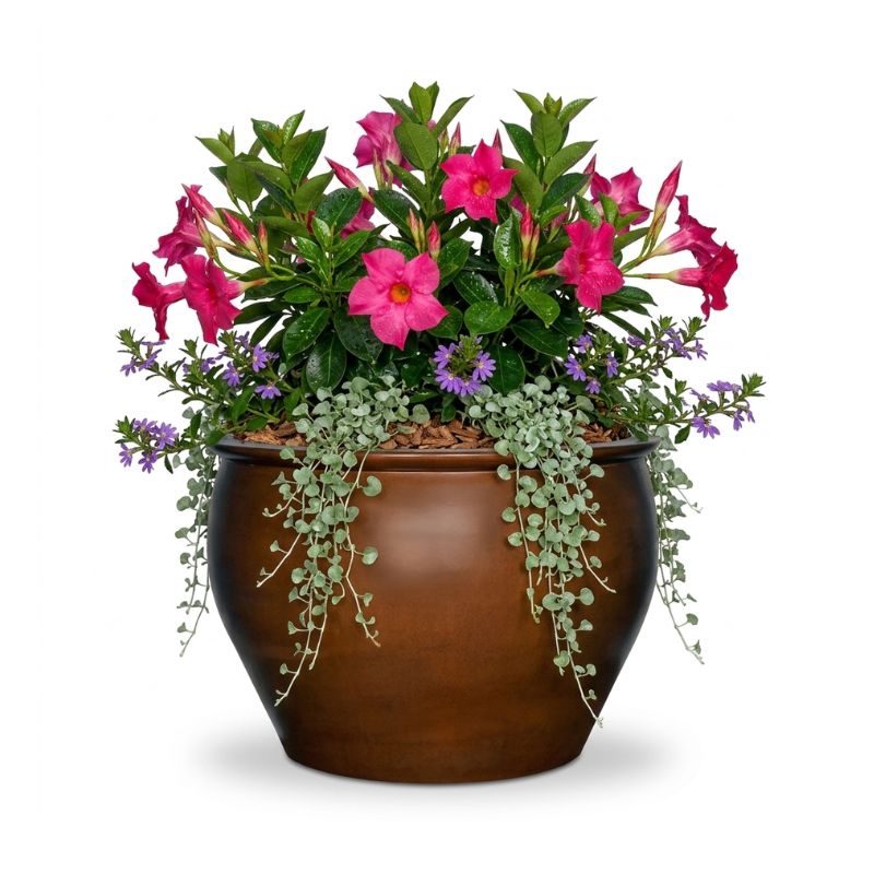 Archpot Asian Planter - Quality Home Distribution