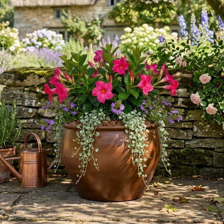 Archpot Asian Planter - Quality Home Distribution