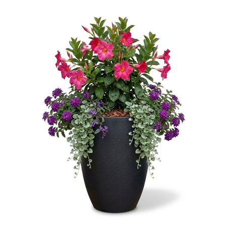 Archpot Legacy Round Tall Planter - Quality Home Distribution