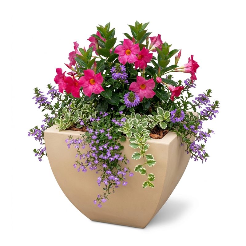 Archpot Legacy Square Planter - Quality Home Distribution
