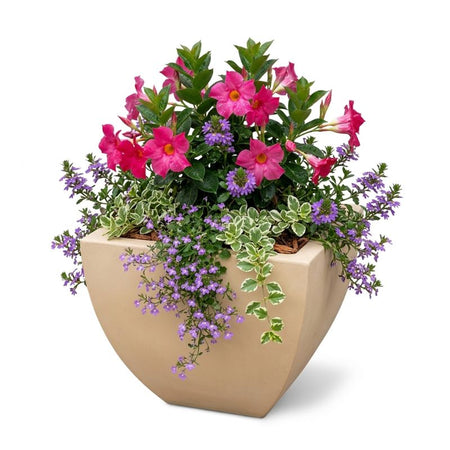 Archpot Legacy Square Planter - Quality Home Distribution