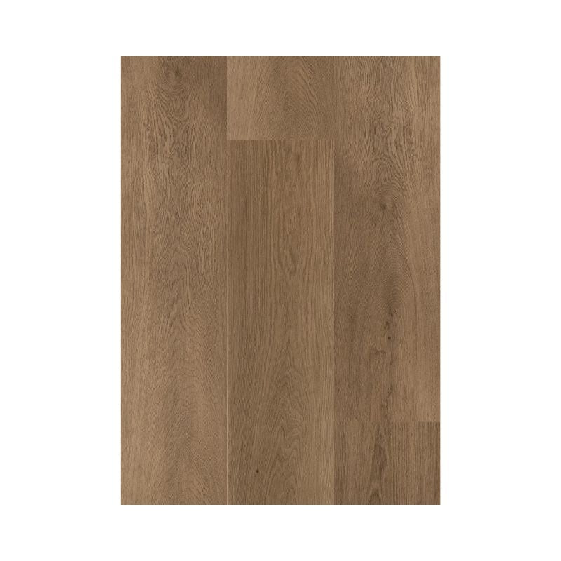 Daltile Asher Bend Lodge Luxury Vinyl Flooring - Plank