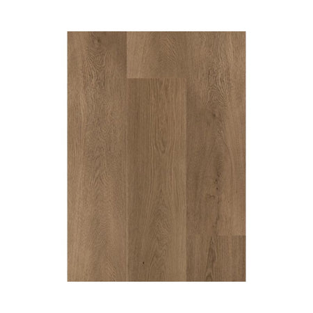 Daltile Asher Bend Lodge Luxury Vinyl Flooring - Plank