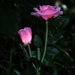 Solar Power Rose Flower Garden Stake Outdoor landscape Lamp Yard LED Light - 362415806287-Quality Home Distribution