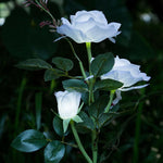 Solar Power Rose Flower Garden Stake Outdoor landscape Lamp Yard LED Light - 362415806287-Quality Home Distribution